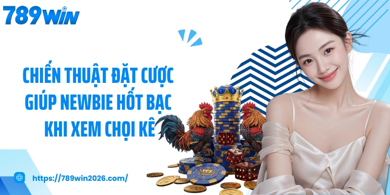 Chiến thuật đặt cược giúp newbie hốt bạc khi xem chọi kê